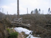 /album/fotogalerij/img-0526-jpg/