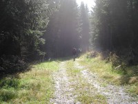 /album/fotogalerij/p8310012-jpg/