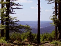 /album/fotogalerij/sauerland-jpg/