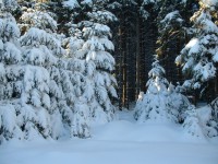 /album/fotogalerij/winterberg2-jpg/